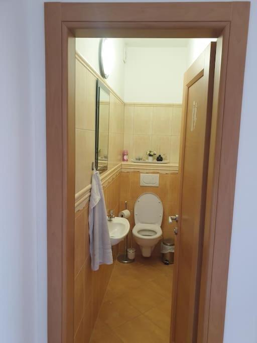 Mezonetovy Apartman V Centre Novej Dubnice Ilava Exteriér fotografie